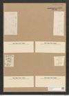 Hantzschia amphioxys (Ehrenb.) Grun. (de-Toni-Nr.: Genus 50, Species 2204) Zeichnungen Sammlung Grunow Nr. 4597 (NHMW-BOT-W0372621)